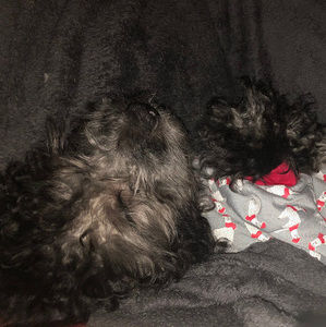 Meet your Posher, Joanna